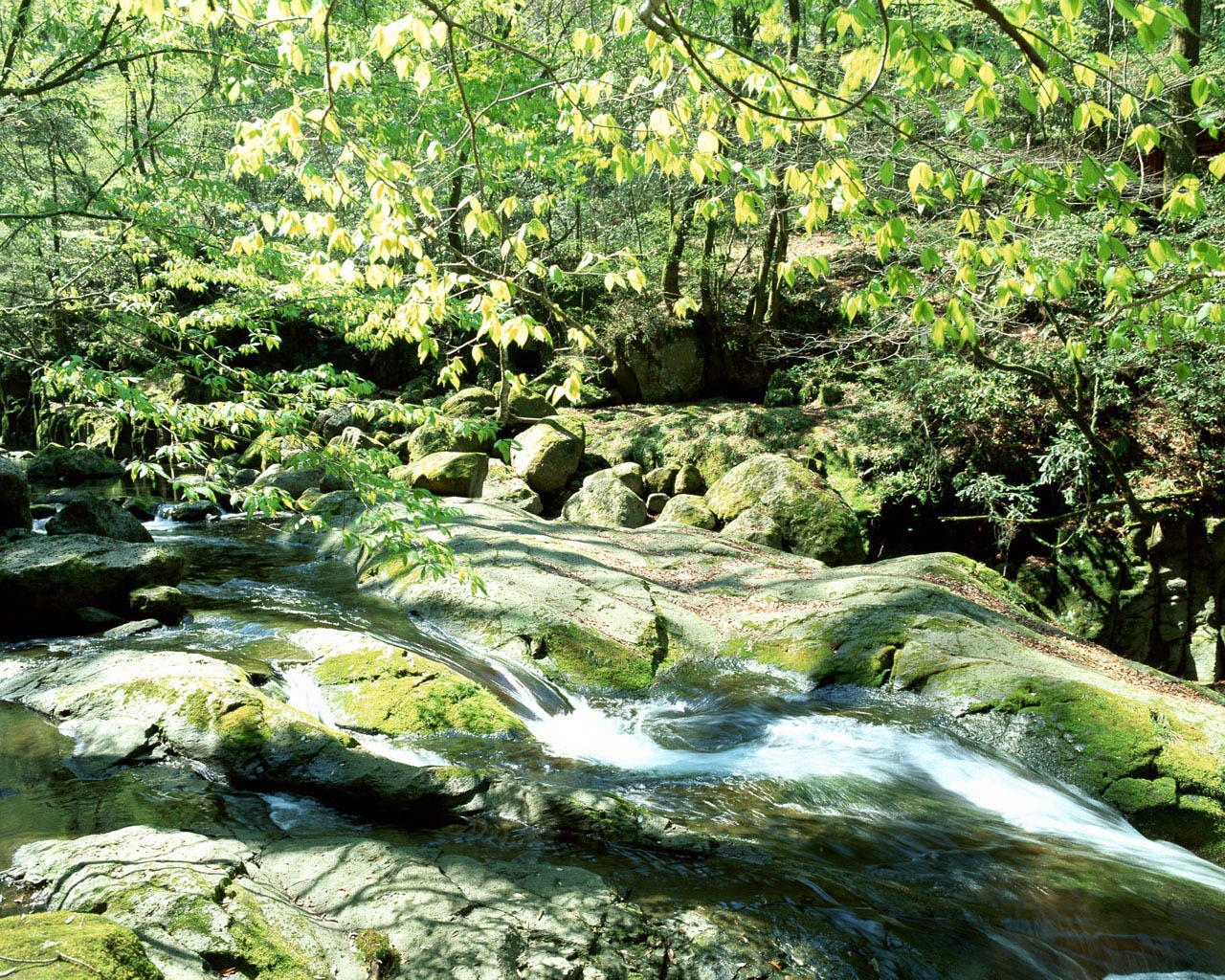 Cascada arroyos fondo de pantalla (1) #15 - 1280x1024