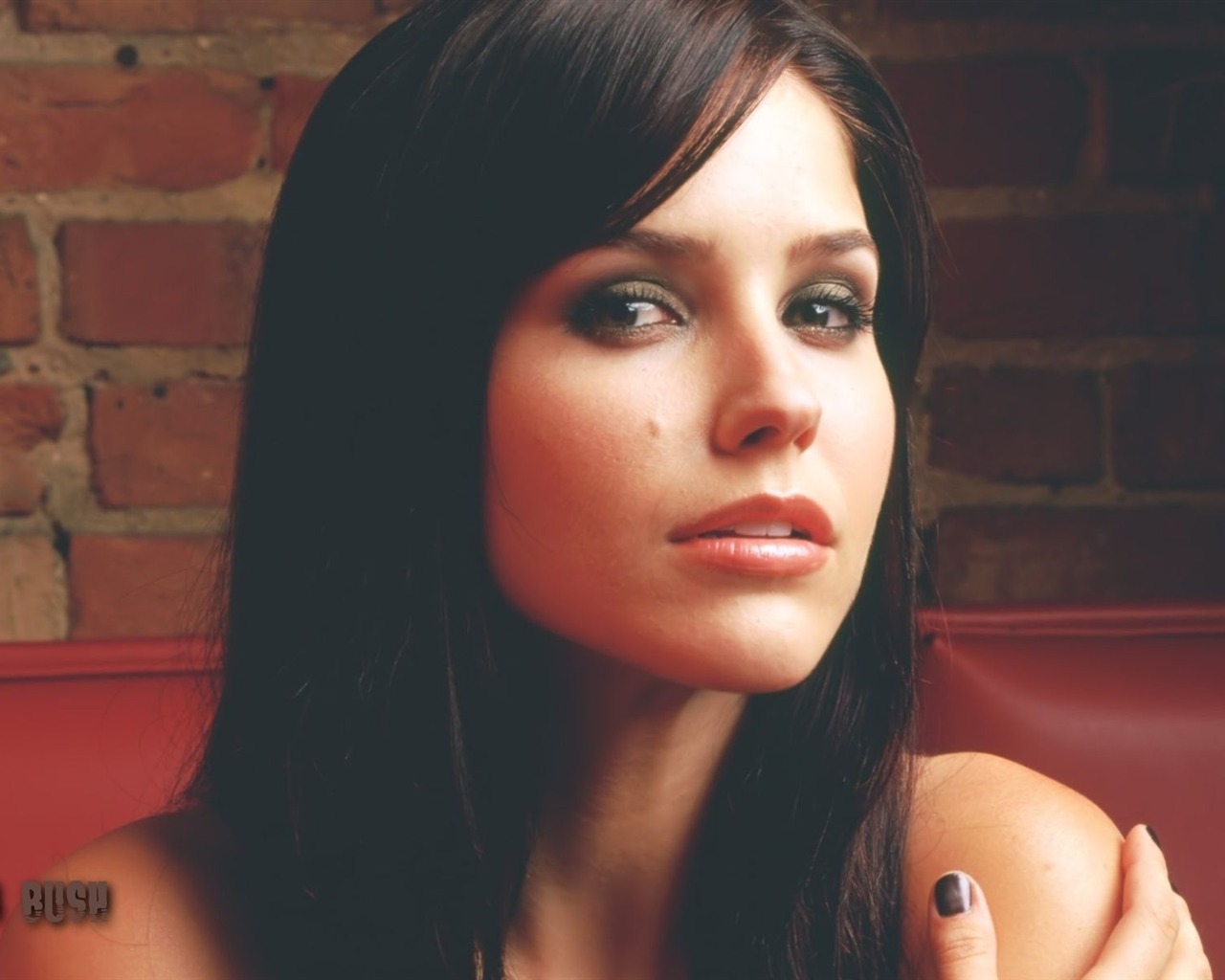 Sophia Bush schöne Tapete #3 - 1280x1024