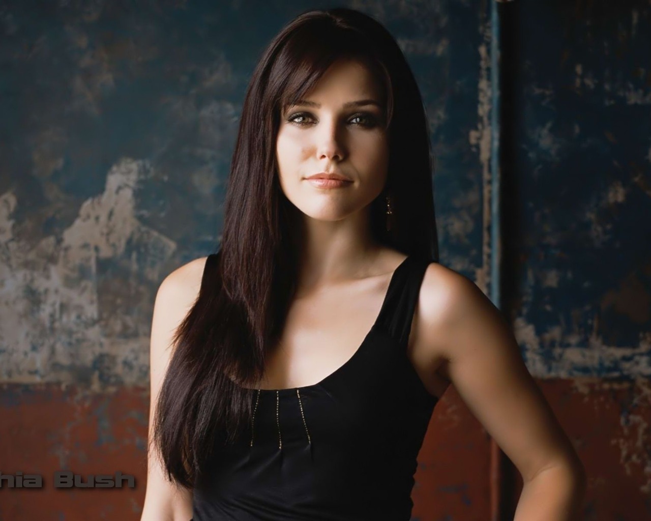 Sophia Bush schöne Tapete #4 - 1280x1024