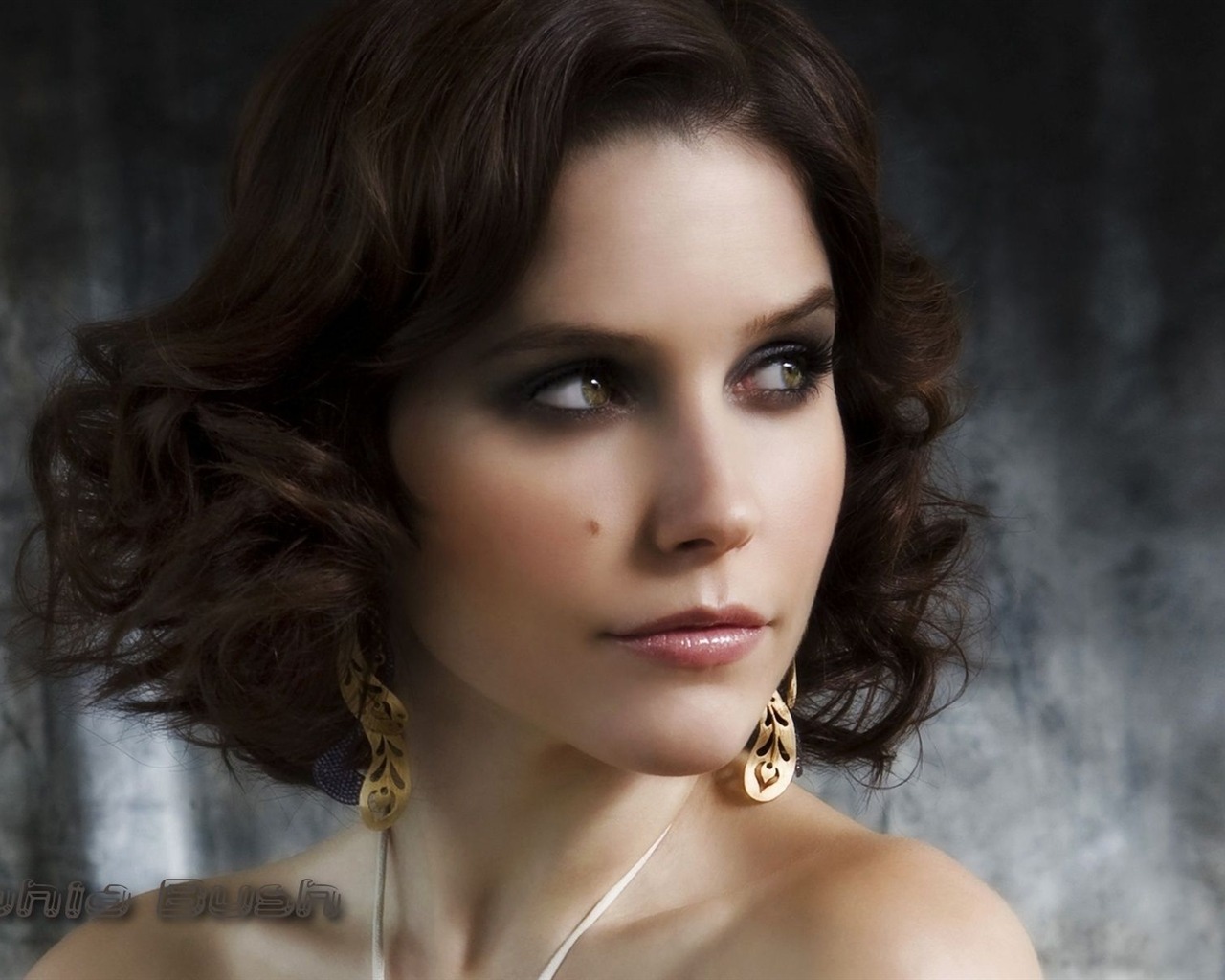 Sophia Bush beau fond d'écran #15 - 1280x1024