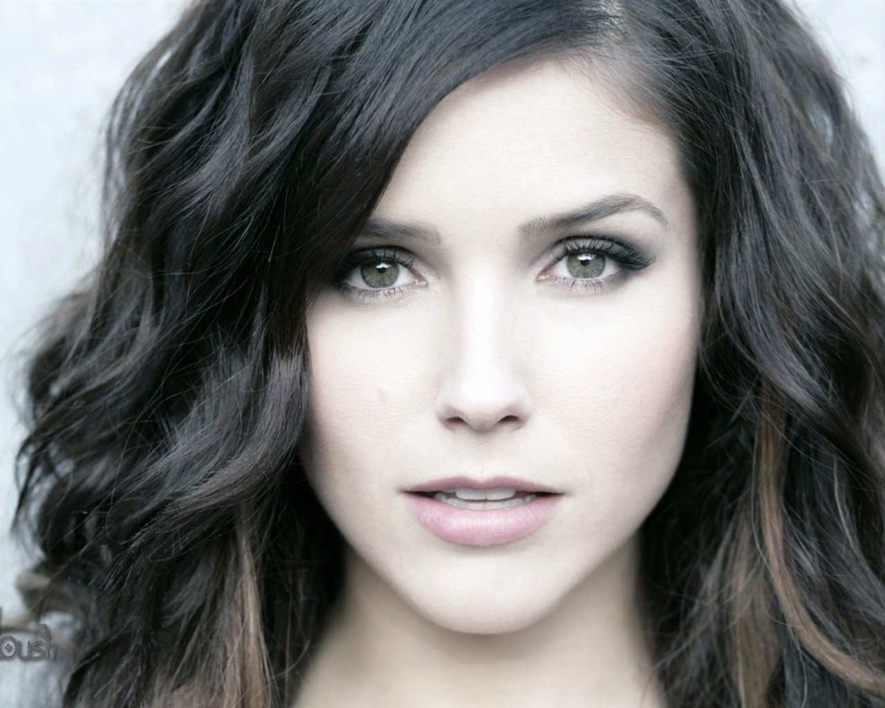 Sophia Bush beau fond d'écran #17 - 1280x1024