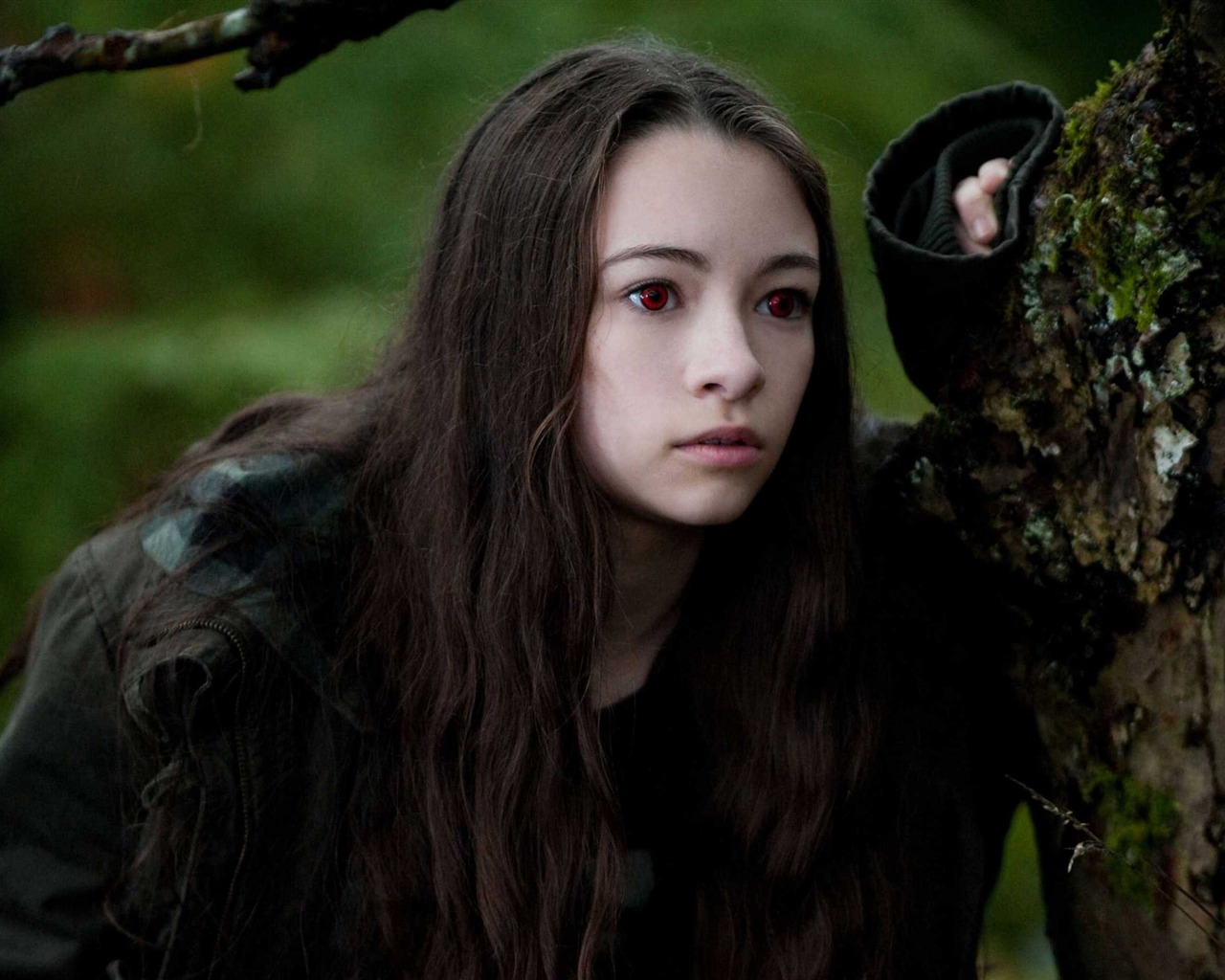 Saga Twilight: Eclipse HD tapetu (2) #21 - 1280x1024