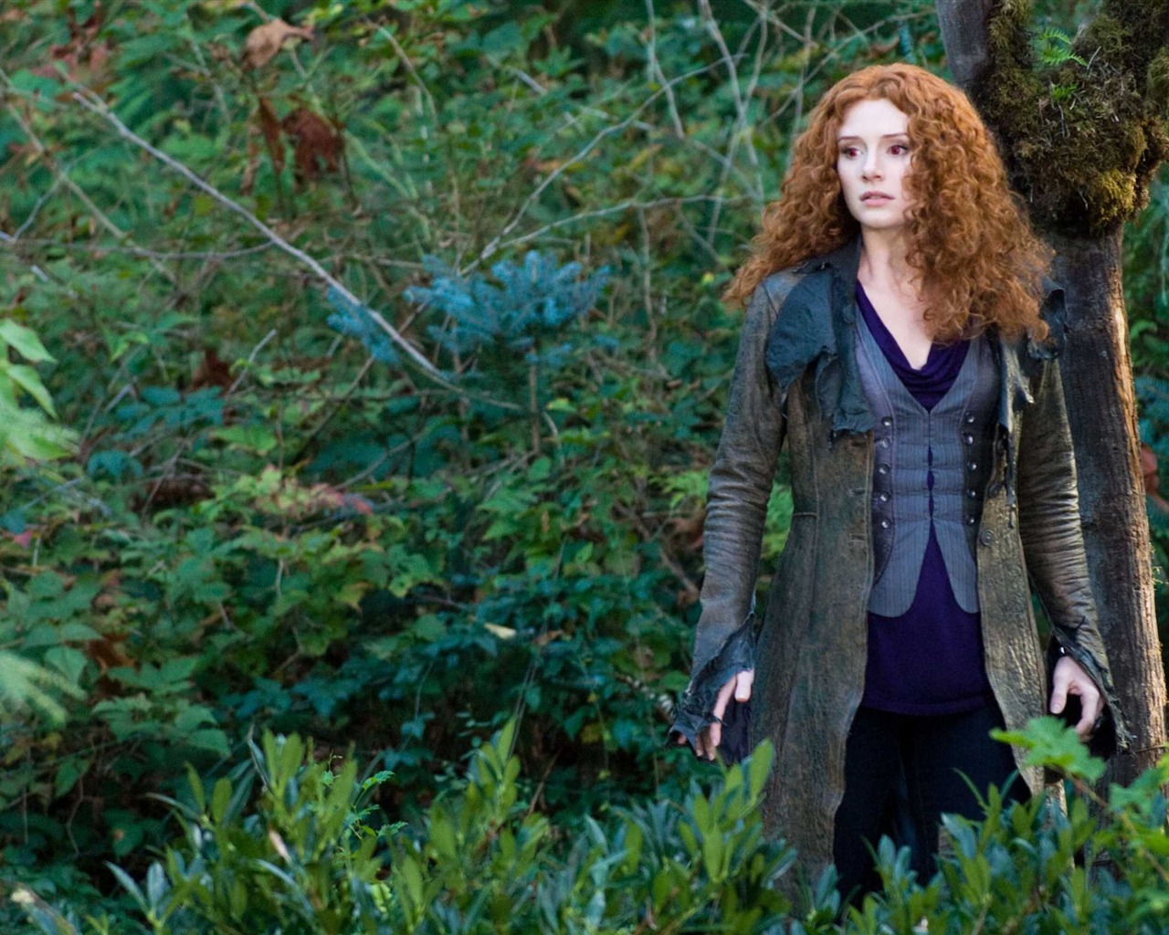 Saga Twilight: Eclipse HD tapetu (2) #22 - 1280x1024