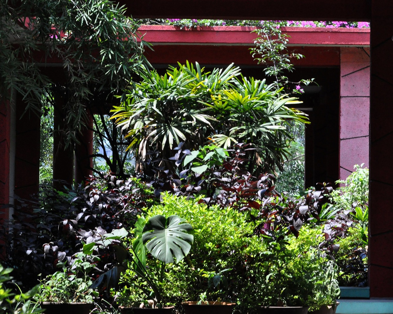 Flowers blooming (Old Hong OK works) #10 - 1280x1024