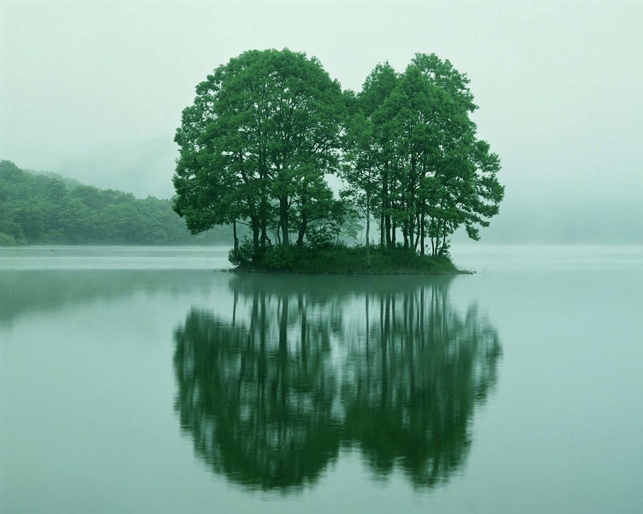 Zasadit stromy, tapety (4) #18 - 1280x1024