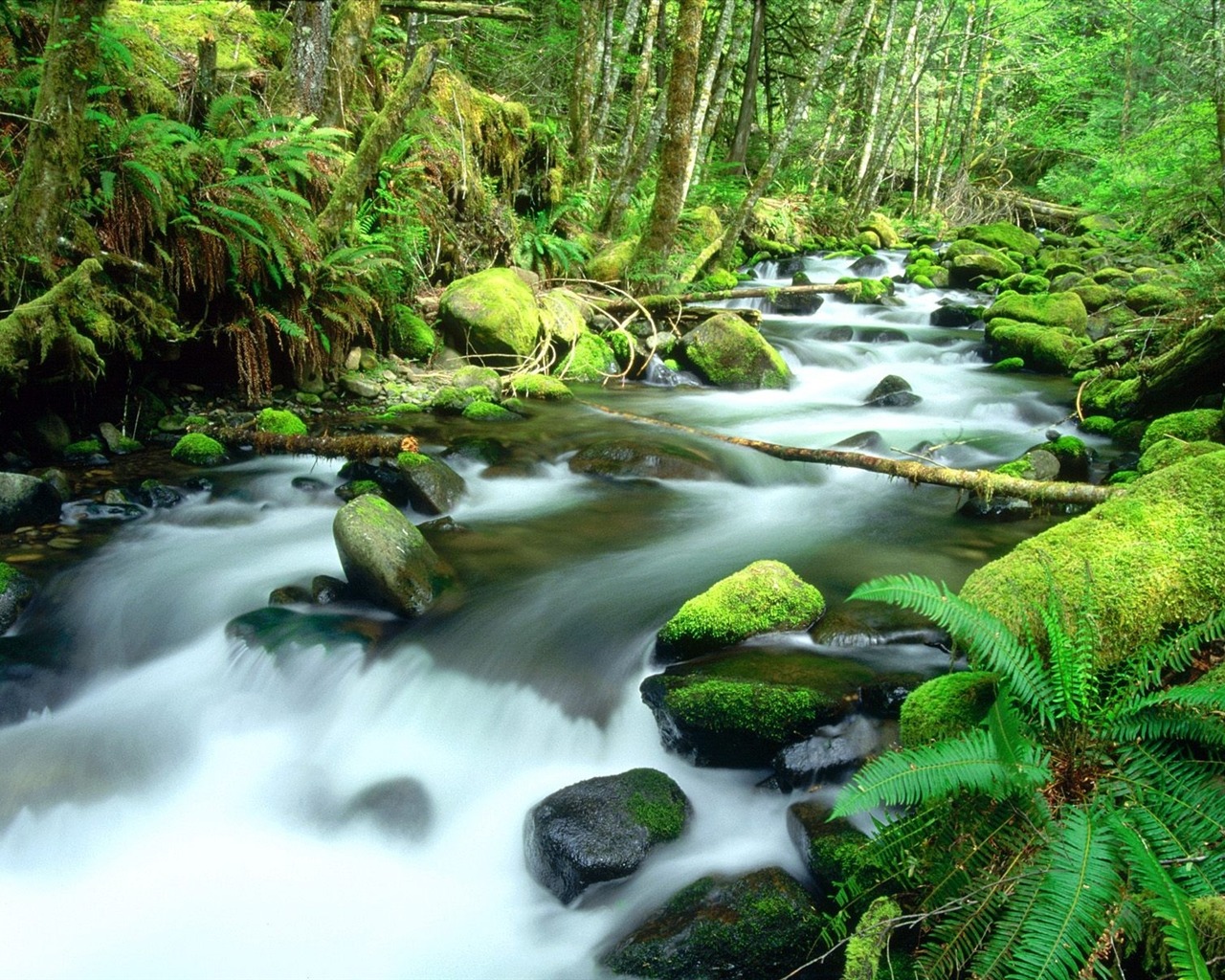 Waterfall streams wallpaper (3) #1 - 1280x1024