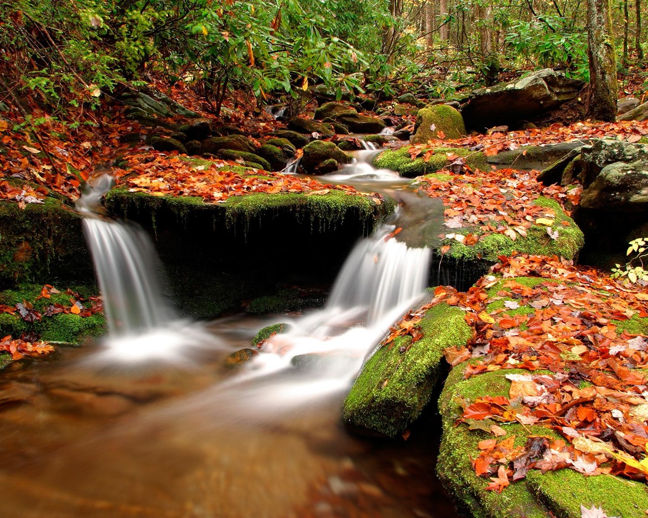 Waterfall streams wallpaper (3) #20 - 1280x1024