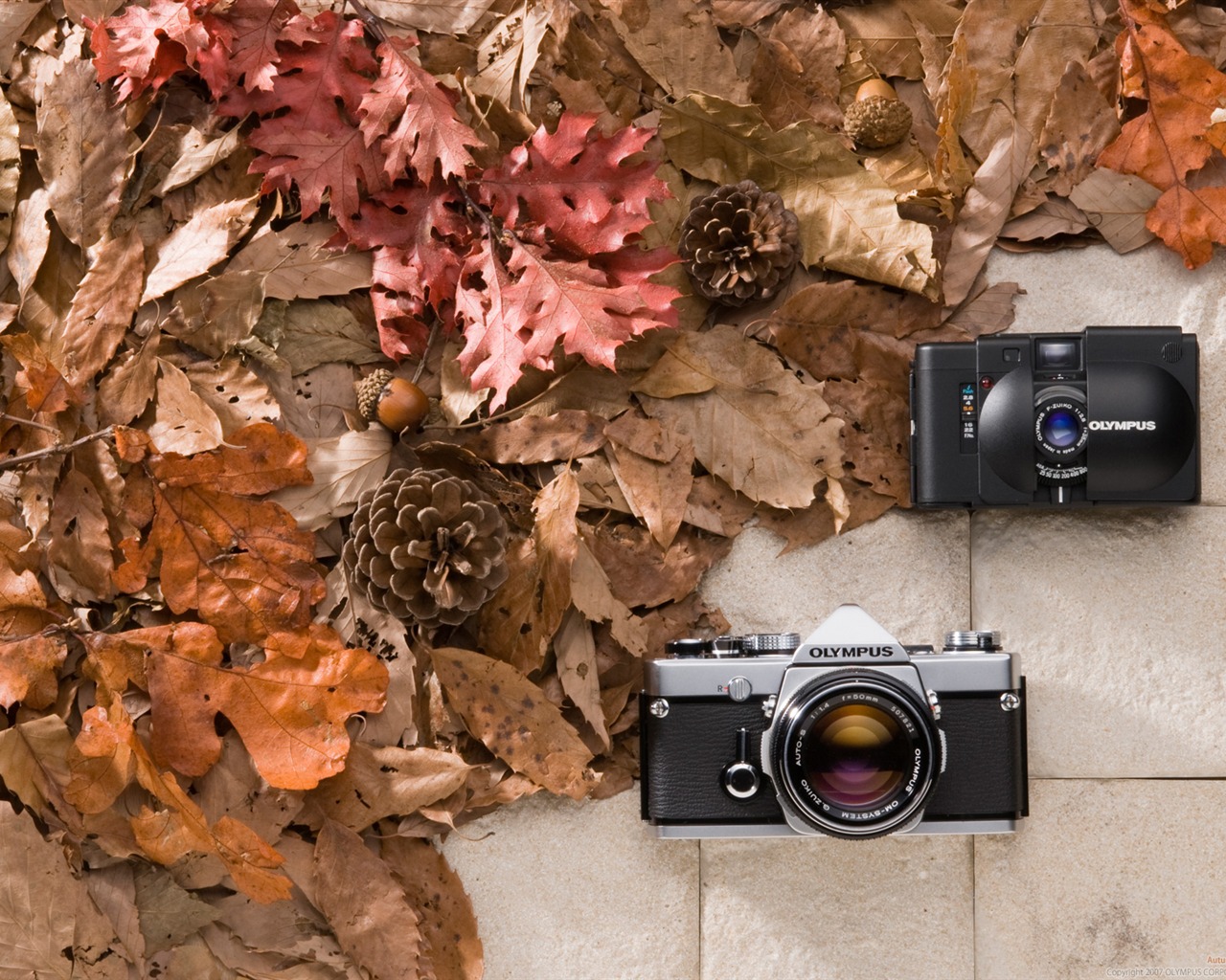 OLYMPUS tapety (5) #1 - 1280x1024