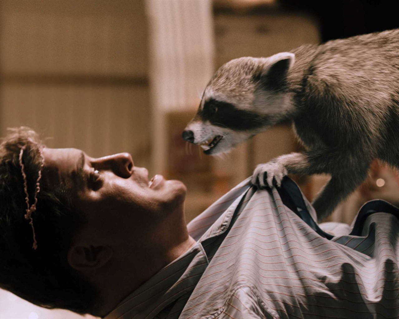 Furry Vengeance HD wallpaper #4 - 1280x1024