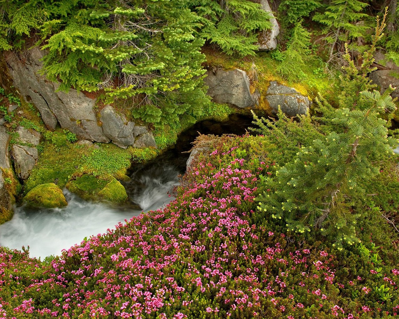 Vodopád proudy tapety (5) #10 - 1280x1024