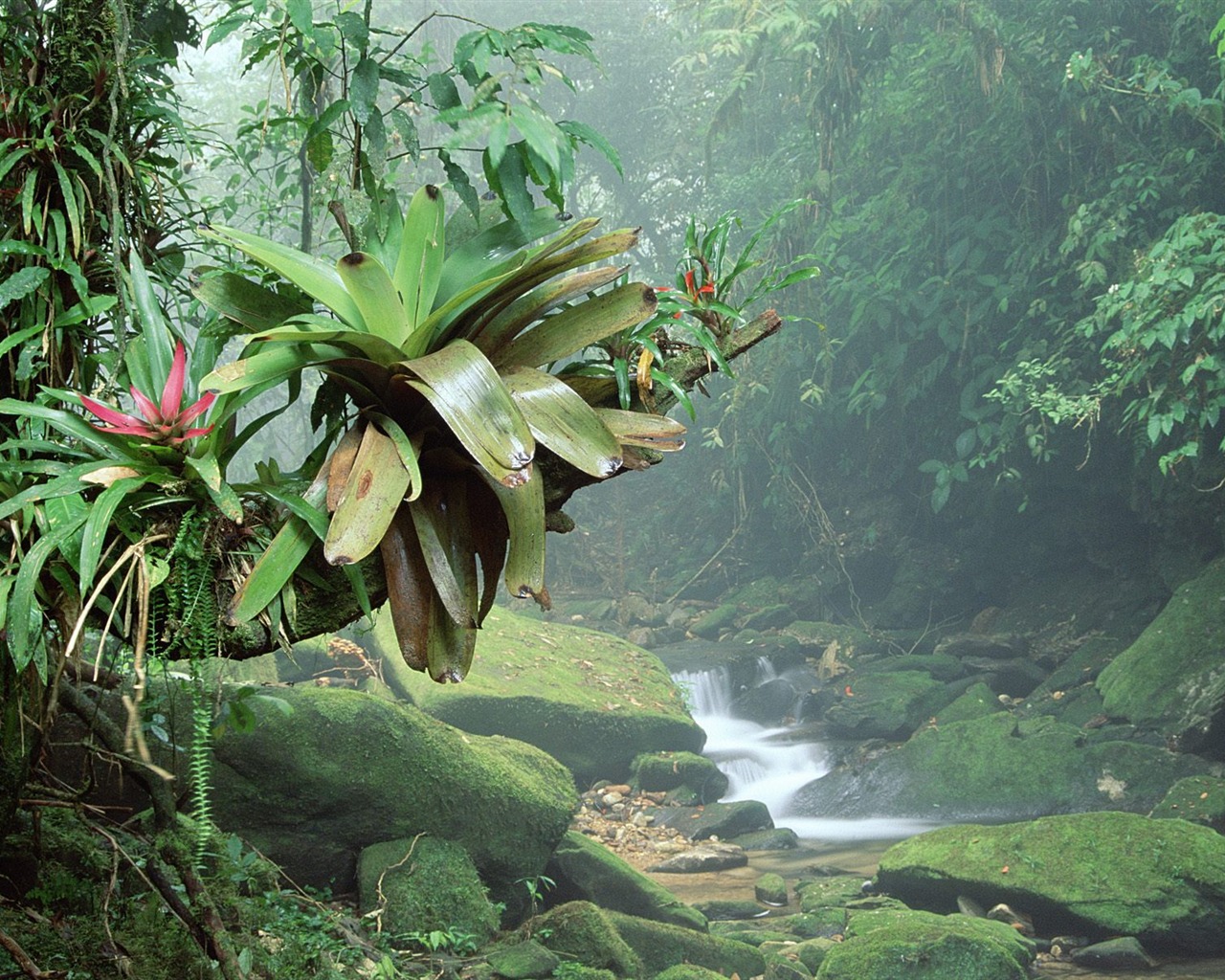 Waterfall streams wallpaper (5) #17 - 1280x1024