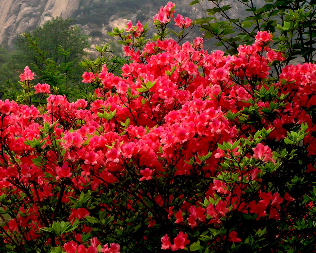 Landscape photography (2) (Li Shanquan works) #7 - 1280x1024