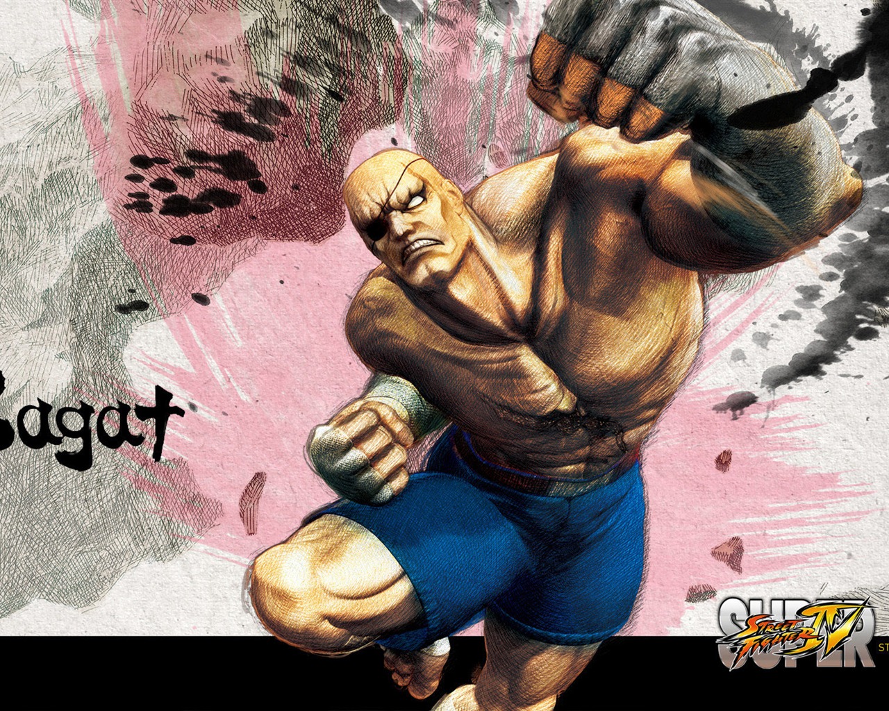 Super Street Fighter 4 HD Tapety na plochu #10 - 1280x1024