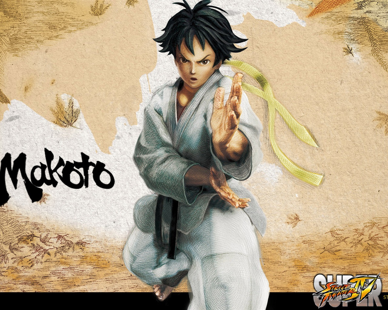 Super Street Fighter 4 HD Tapety na plochu #17 - 1280x1024