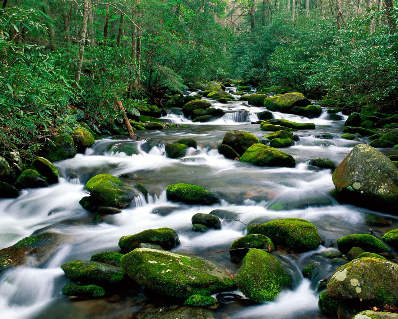 Waterfall streams wallpaper (6) #3 - 1280x1024