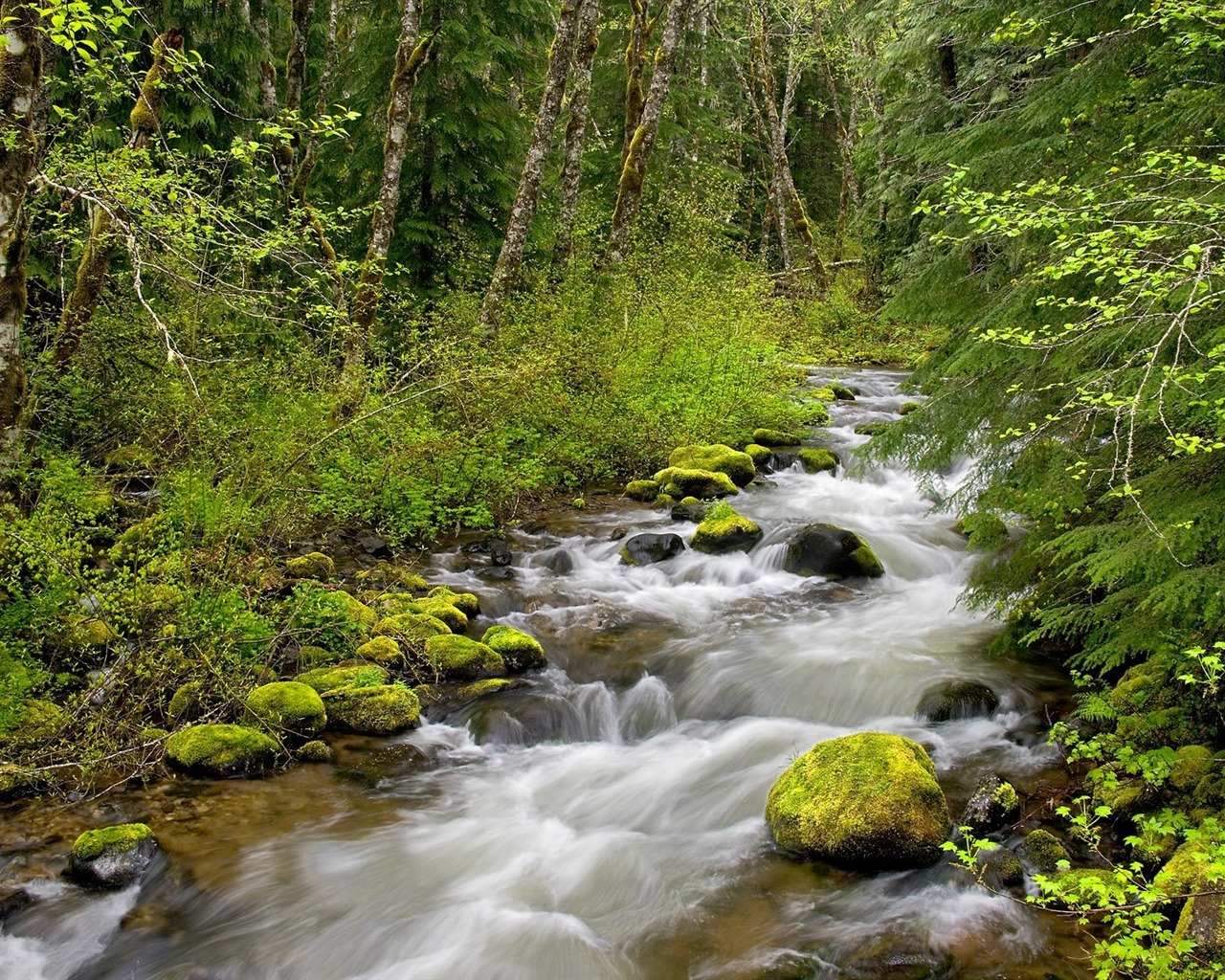 Waterfall streams wallpaper (6) #13 - 1280x1024