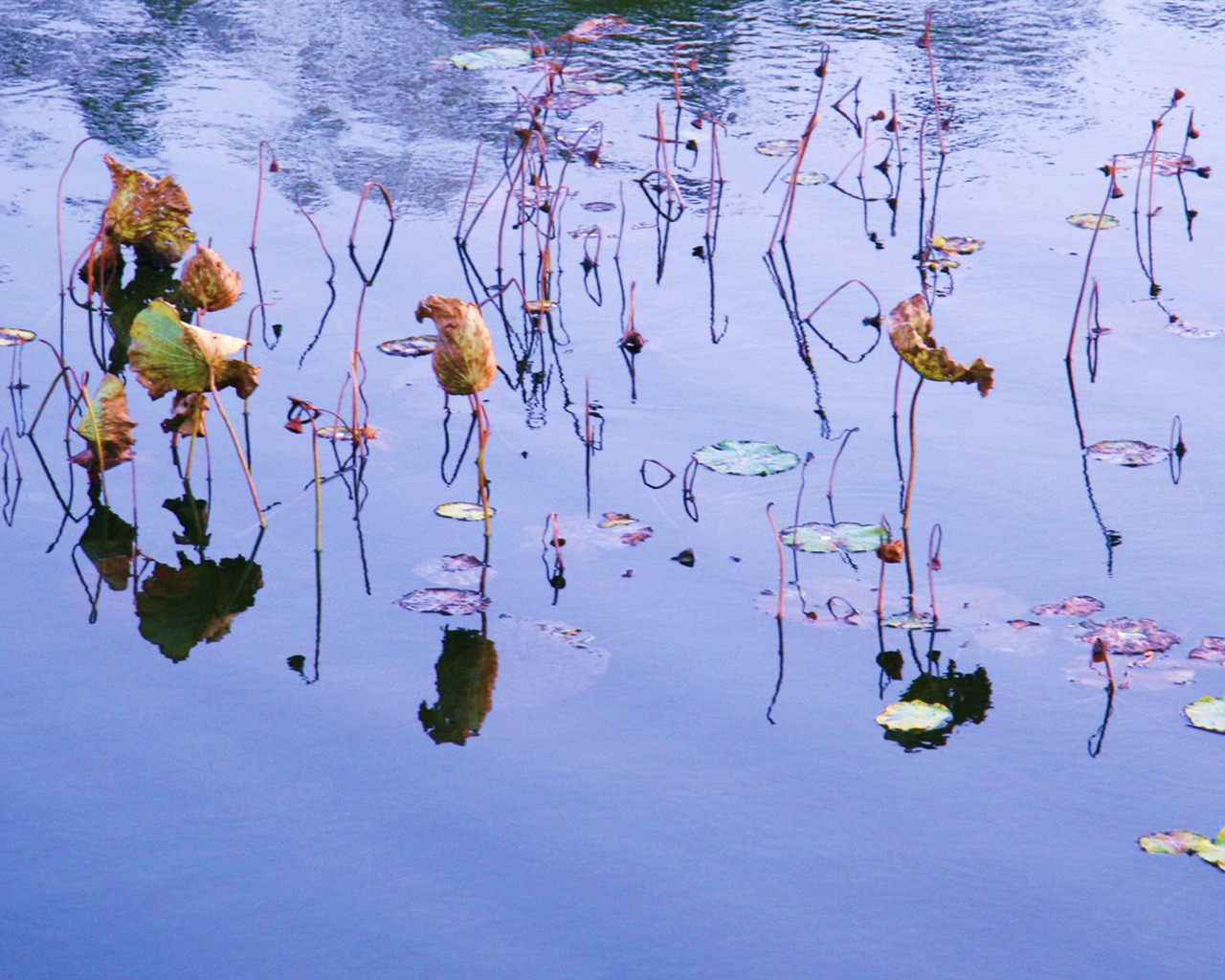 Landscape photography (4) (Li Shanquan works) #13 - 1280x1024