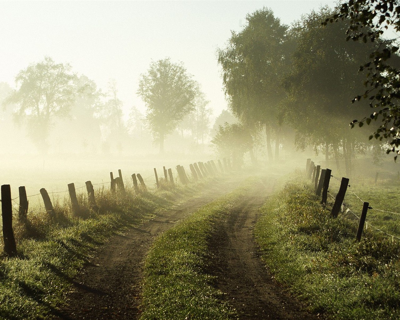 Plant trees wallpaper (8) #2 - 1280x1024