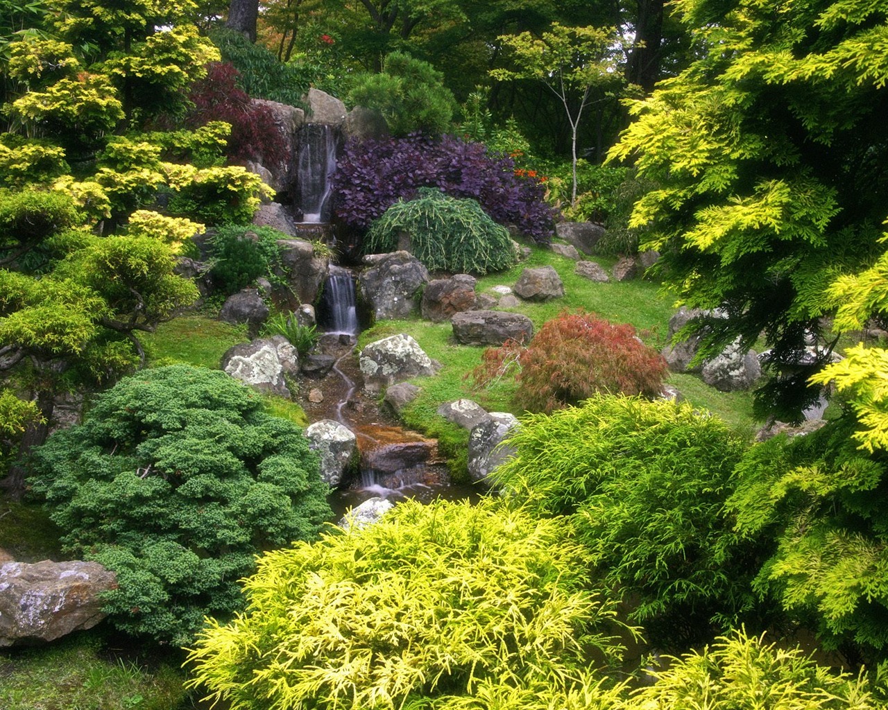 Plant trees wallpaper (8) #3 - 1280x1024