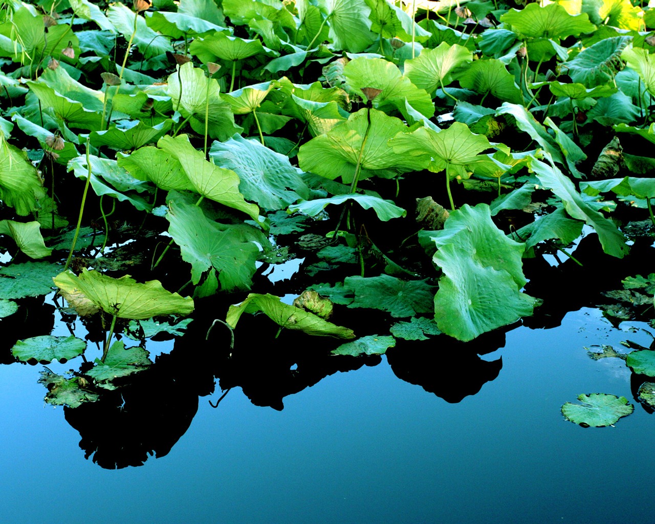 Landscape photography (7) (Li Shanquan works) #1 - 1280x1024