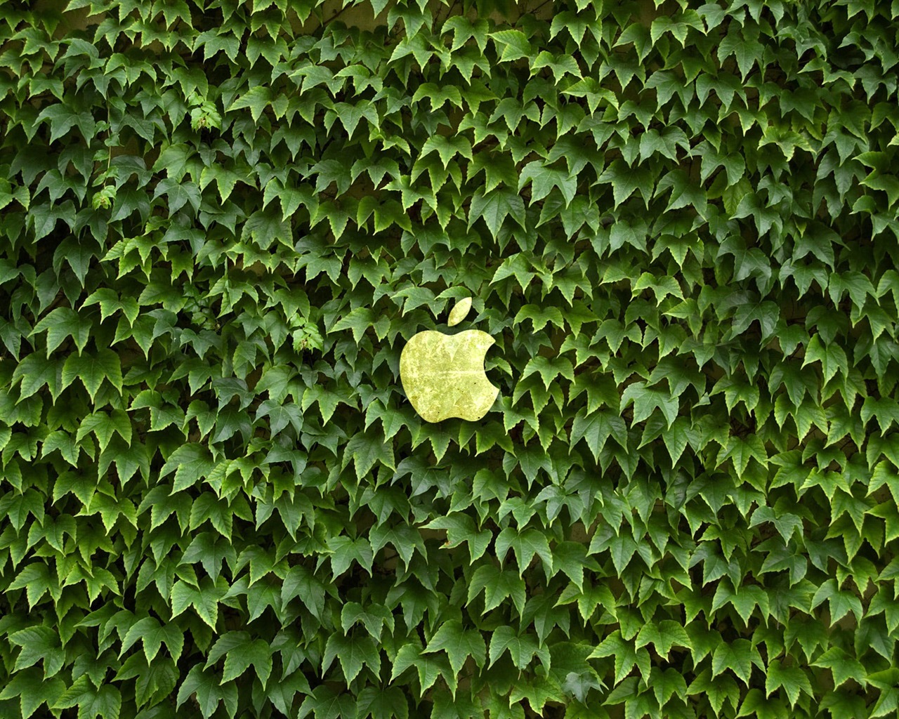 album Apple wallpaper thème (18) #17 - 1280x1024