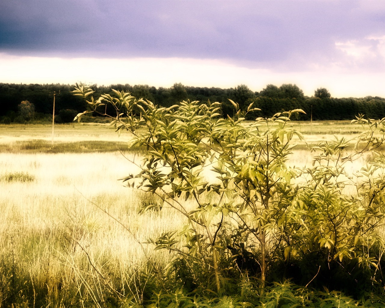 Non-tradiční obrazovce tapeta #39 - 1280x1024