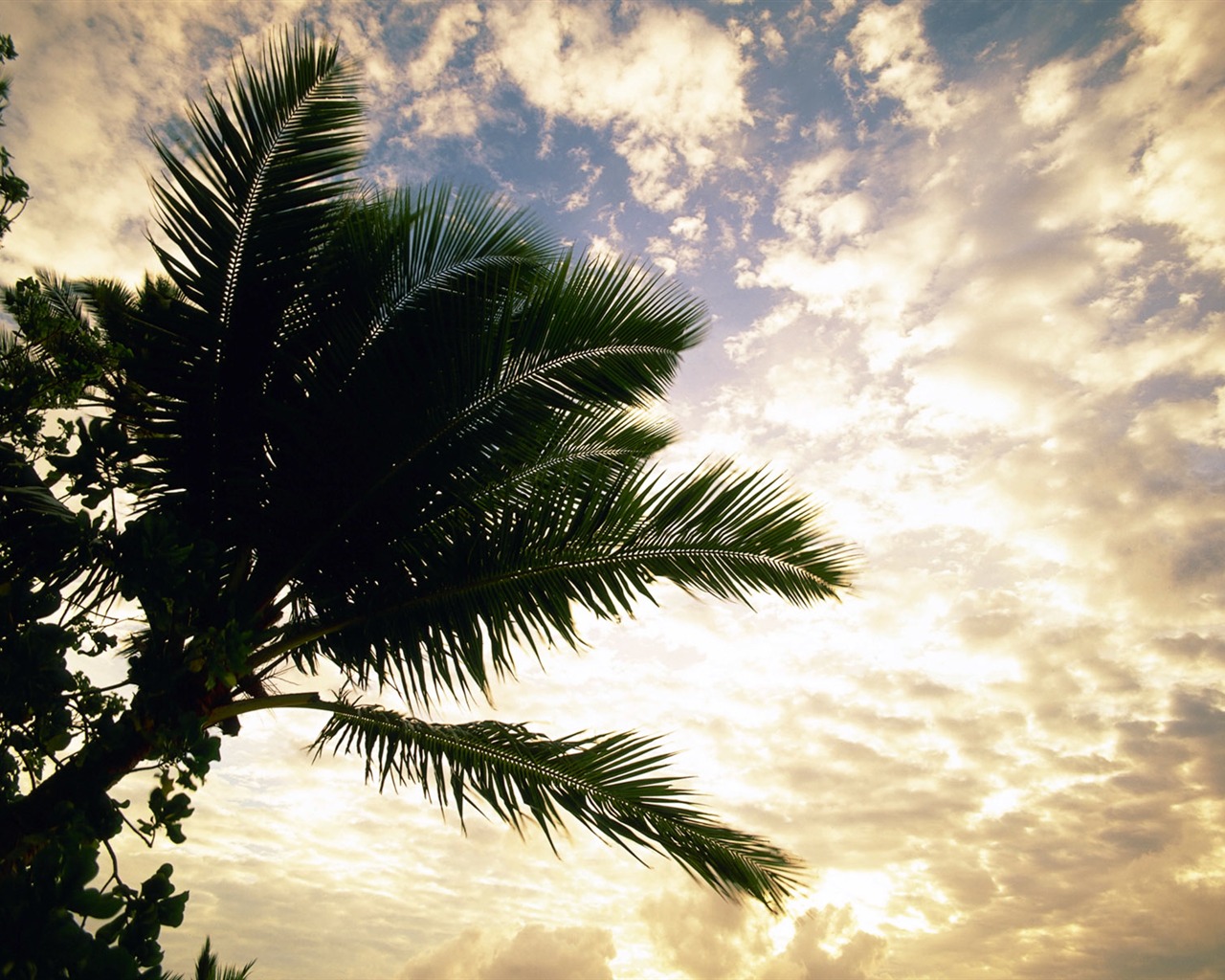 Beach scenery wallpapers (2) #15 - 1280x1024