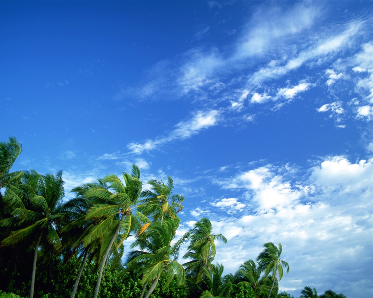 Beach scenery wallpapers (2) #16 - 1280x1024