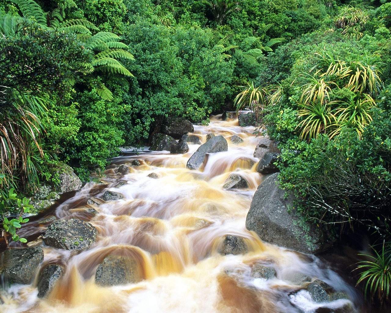 Cascada arroyos fondo de pantalla (9) #3 - 1280x1024