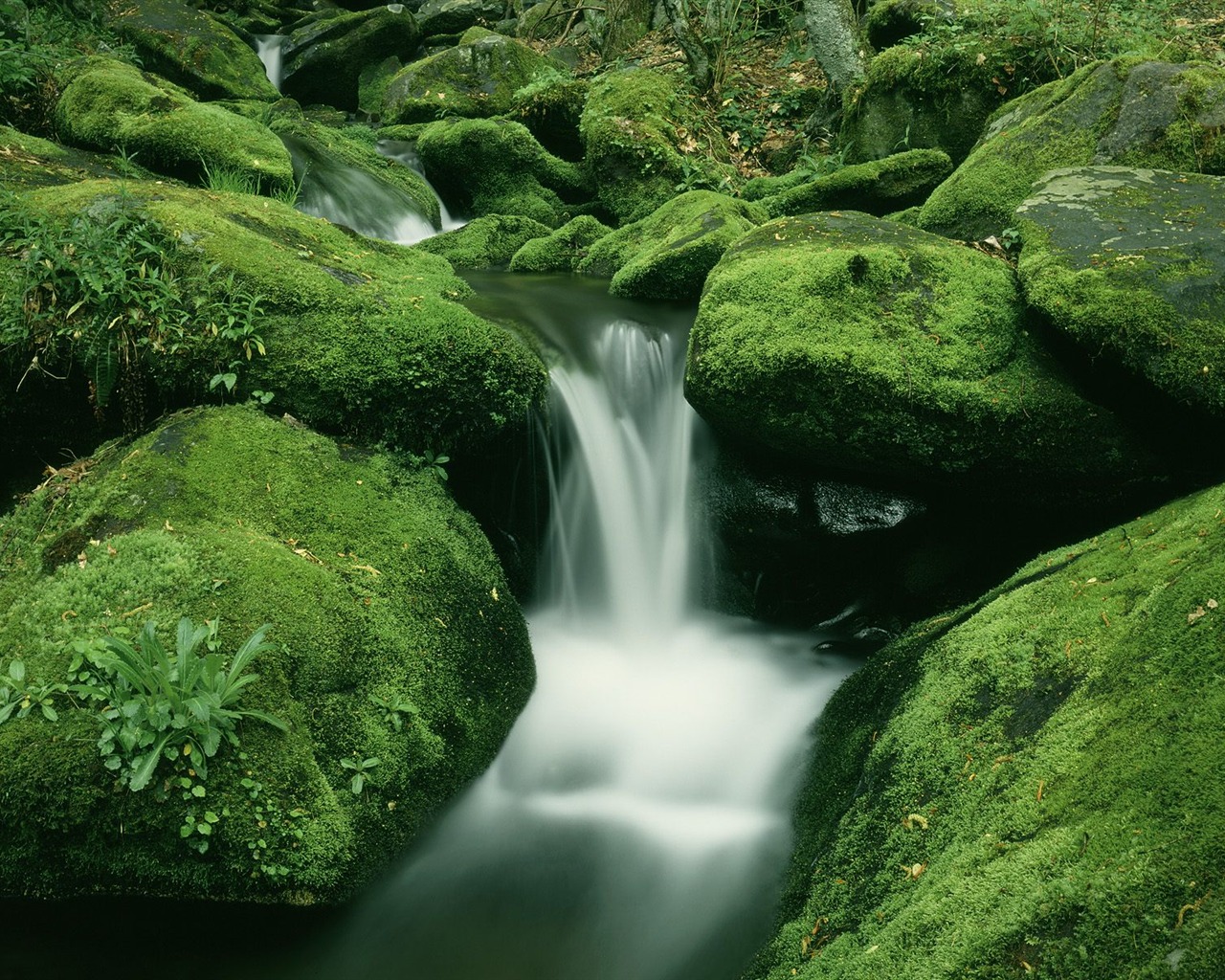 Waterfall streams wallpaper (9) #4 - 1280x1024