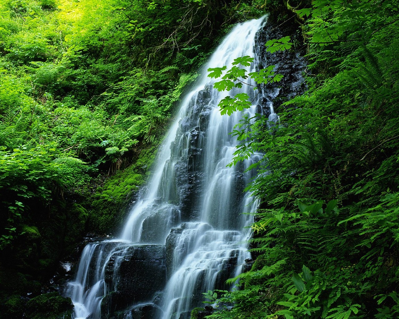 Cascada arroyos fondo de pantalla (9) #11 - 1280x1024