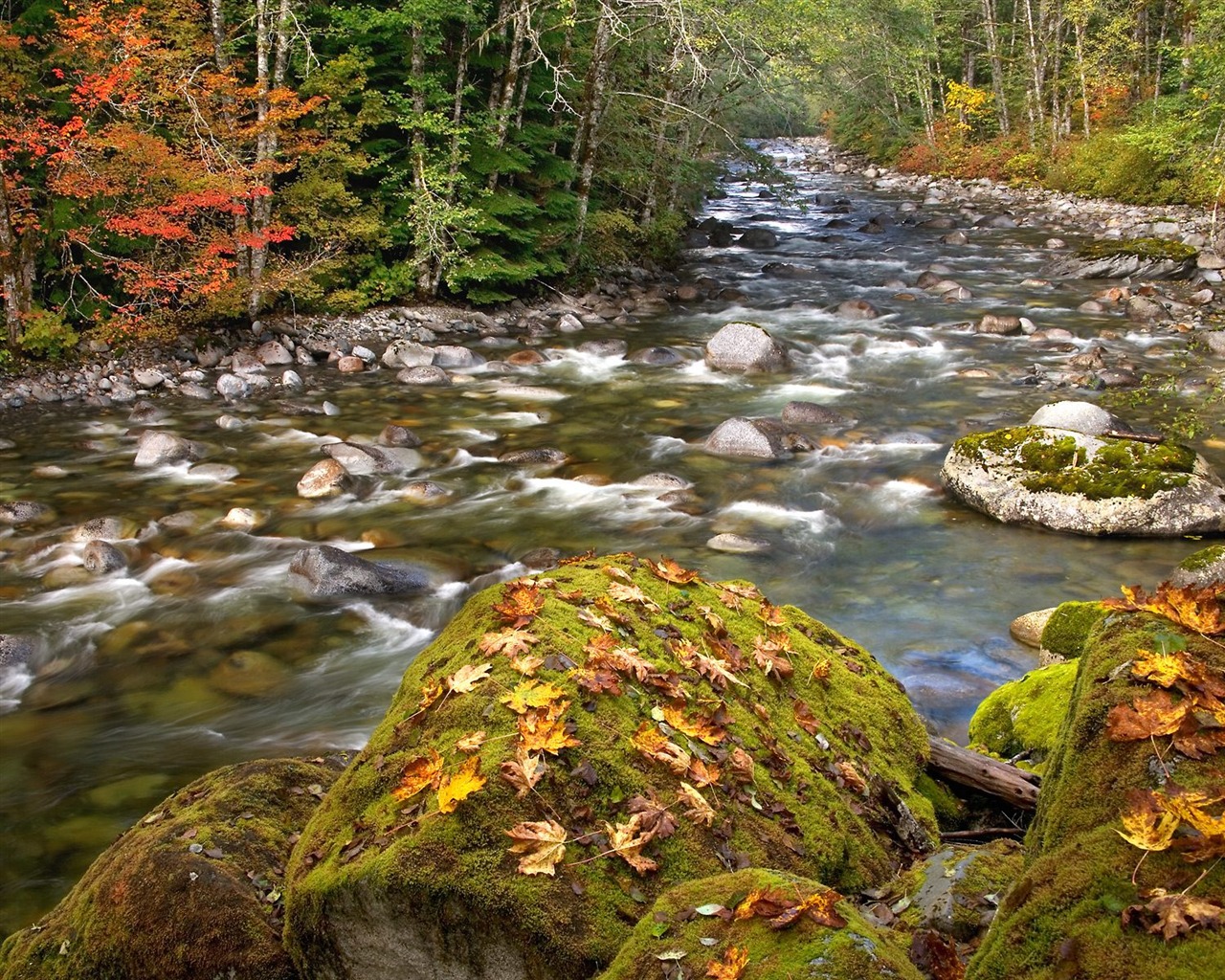 Waterfall streams wallpaper (10) #14 - 1280x1024