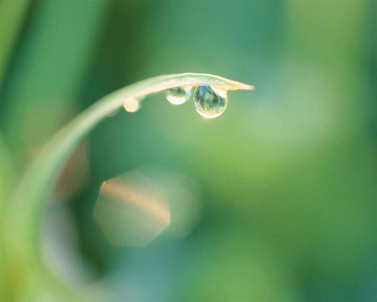 MAC OS X system HD Wallpaper (2) #17 - 1280x1024