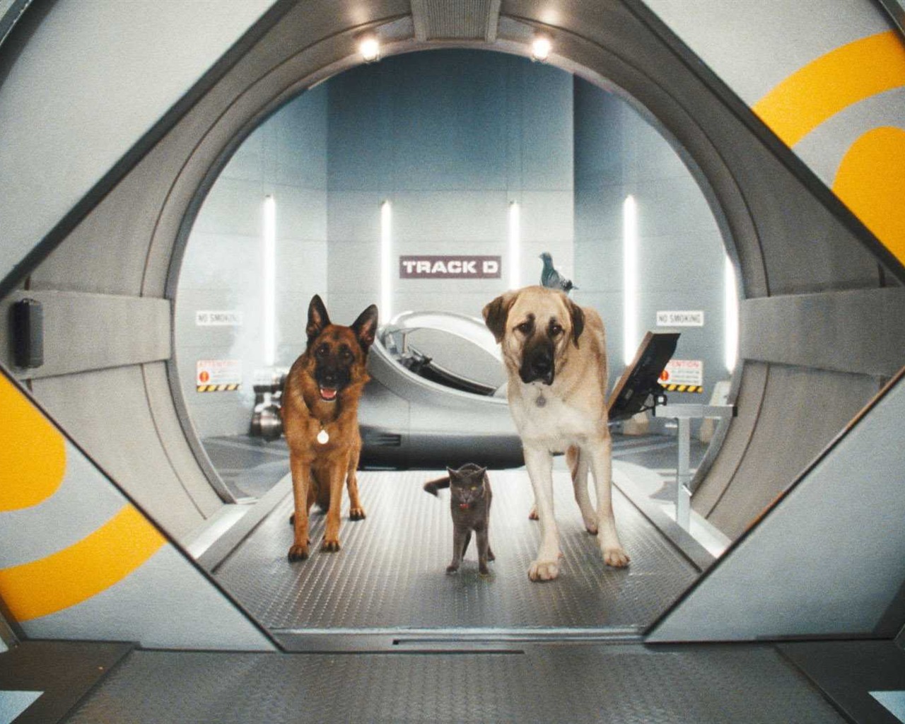 Cats and Dogs: The Revenge of Kitty Galore #3 - 1280x1024