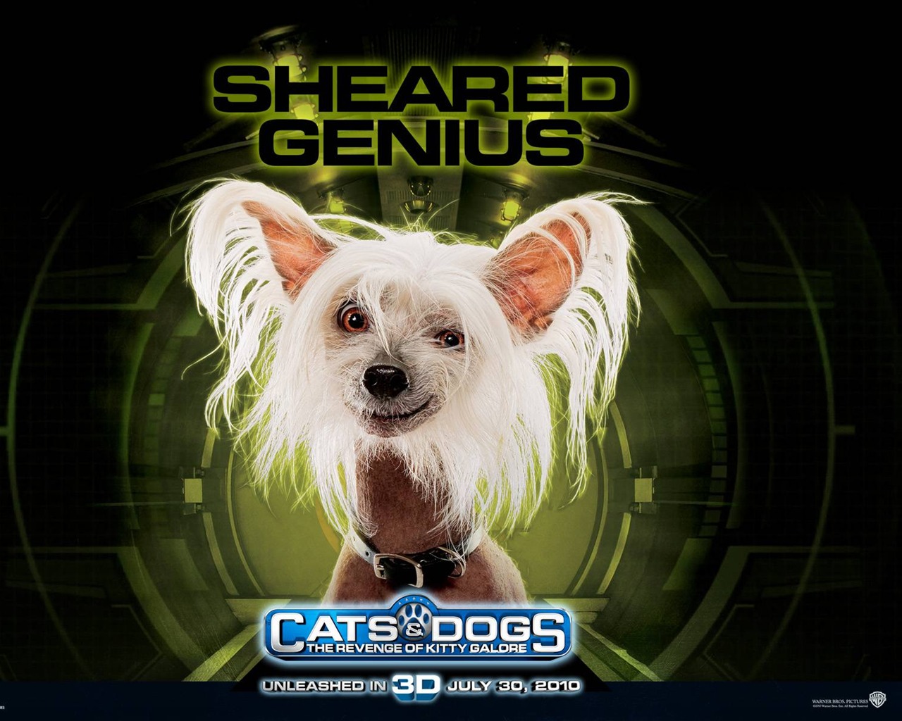 Cats and Dogs: The Revenge of Kitty Galore #8 - 1280x1024