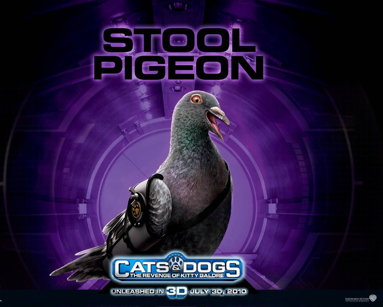 Cats and Dogs: The Revenge of Kitty Galore #11 - 1280x1024