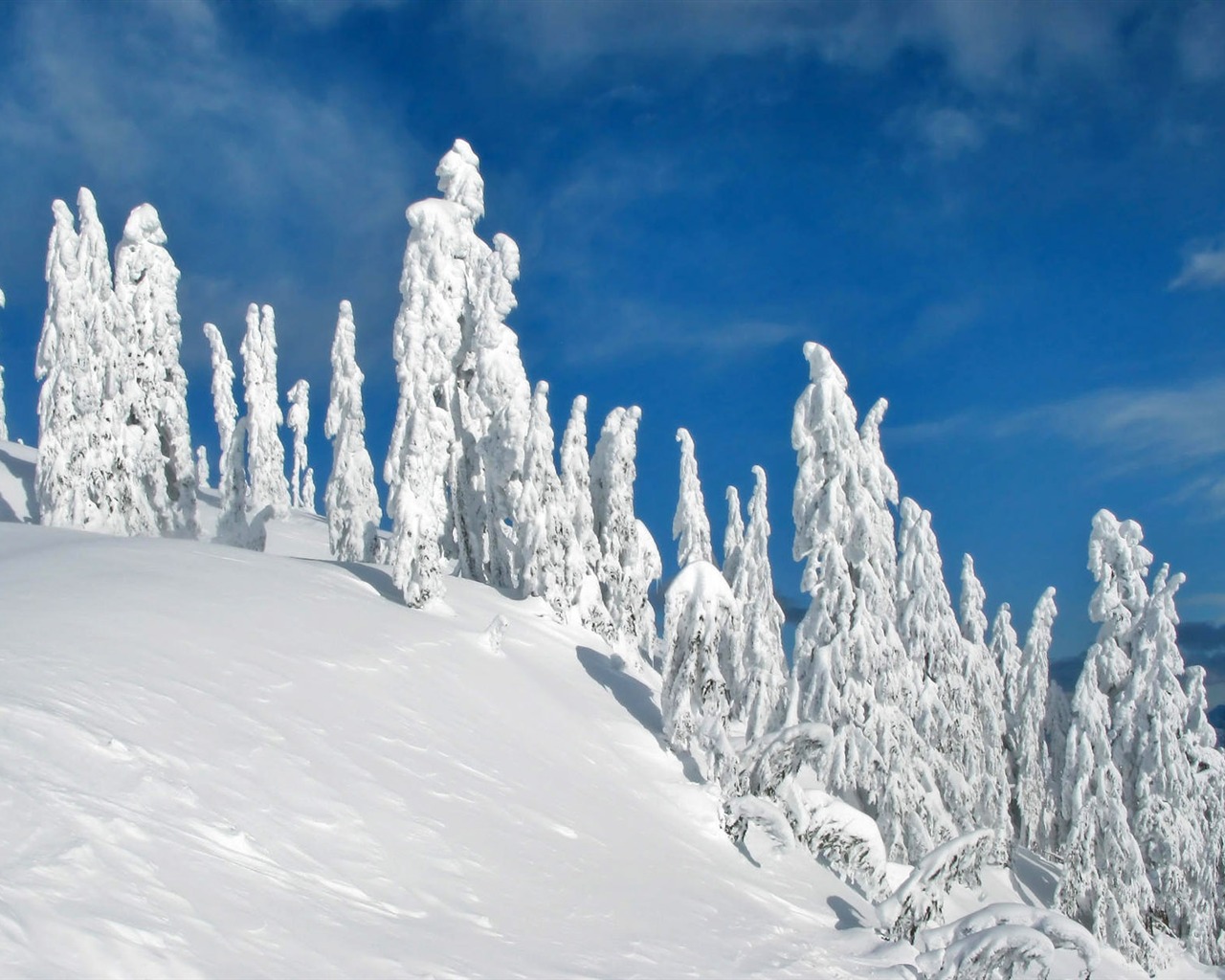 Fond d'écran panoramique de neige (1) #4 - 1280x1024