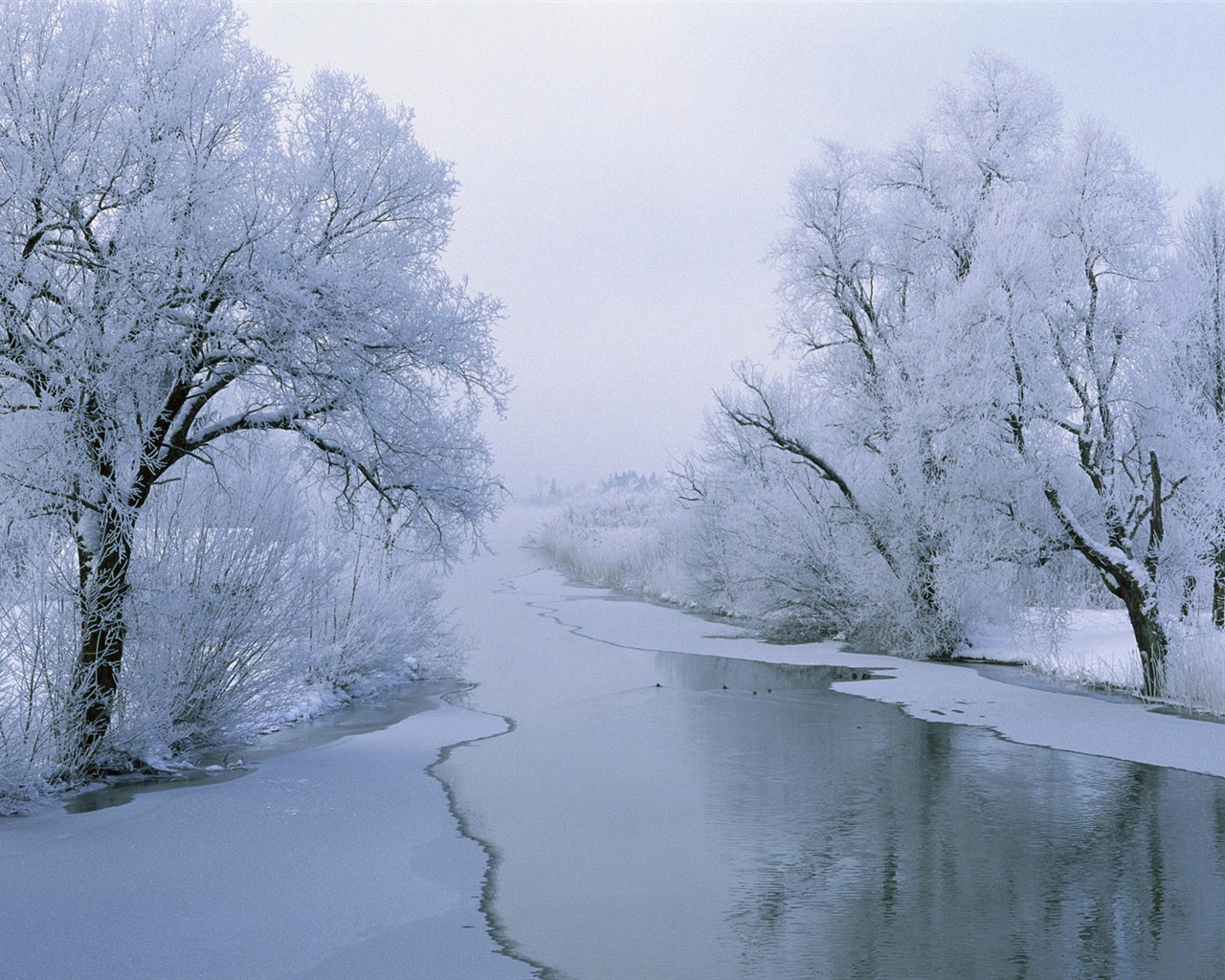 寬屏雪景 壁紙(一) #5 - 1280x1024