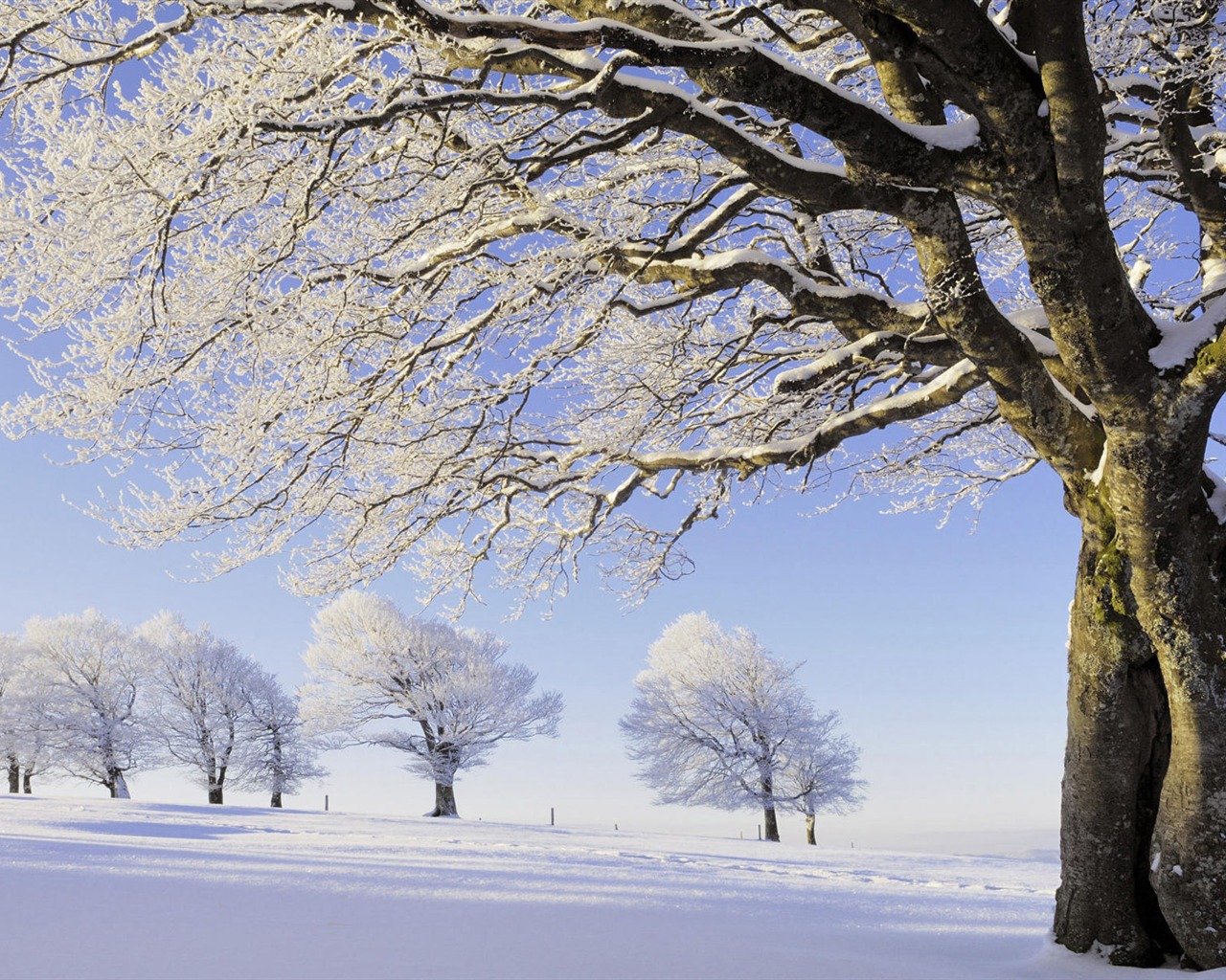 Fond d'écran panoramique de neige (1) #6 - 1280x1024