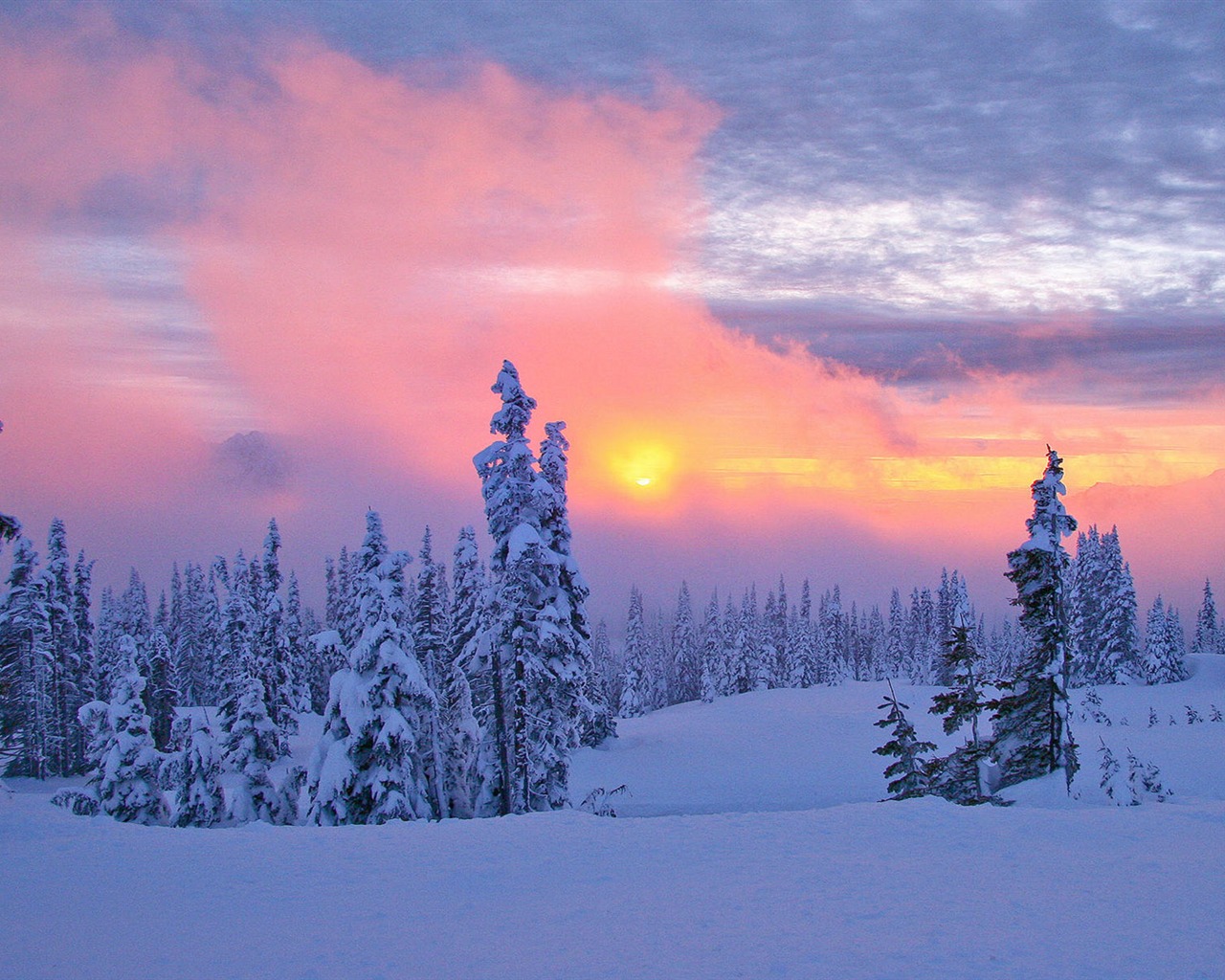 Fond d'écran panoramique de neige (1) #10 - 1280x1024