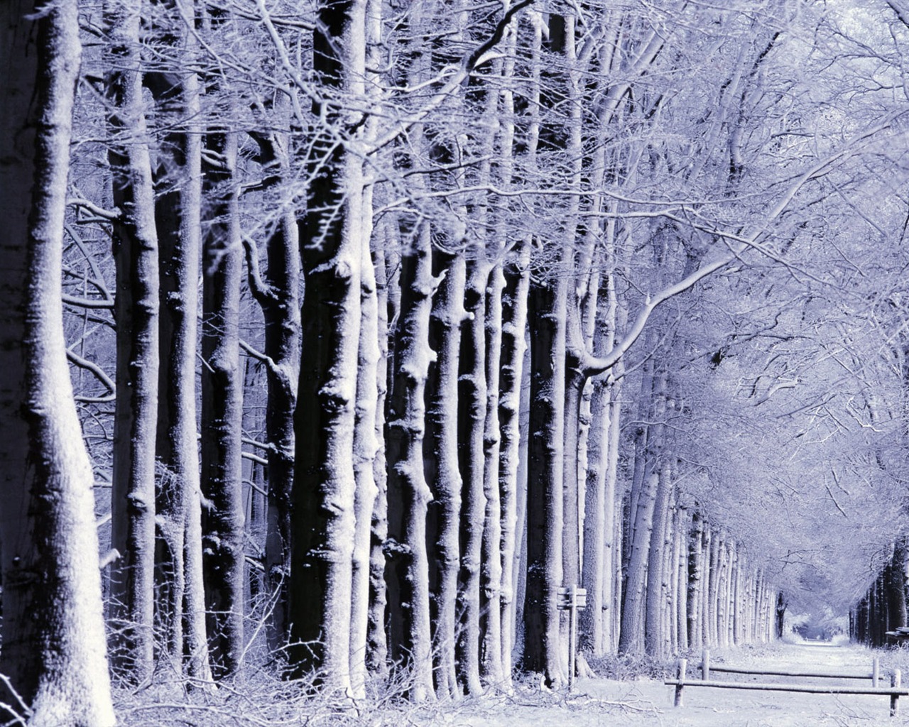 Fond d'écran panoramique de neige (1) #18 - 1280x1024