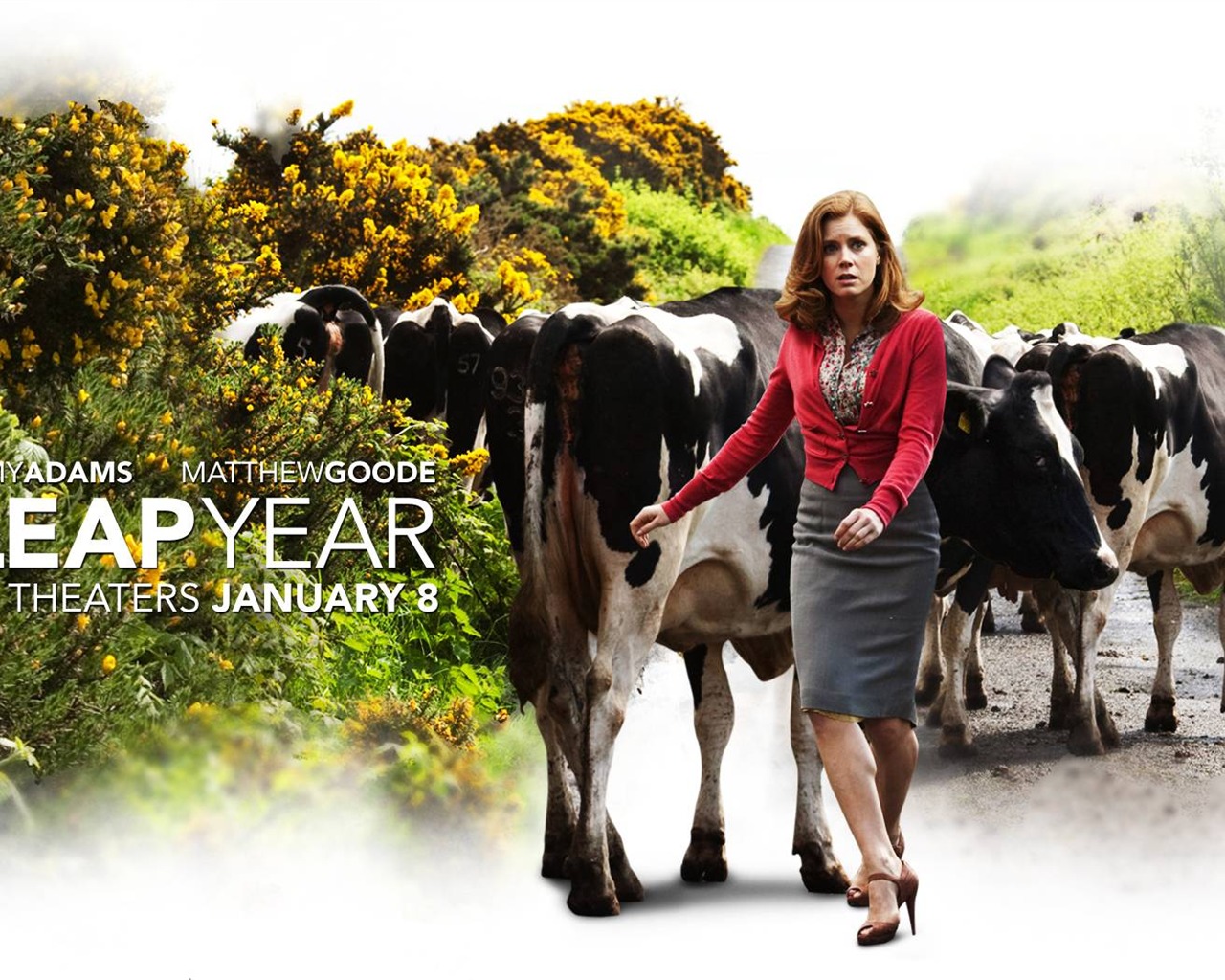 Leap Year Leap Year wallpaper albums #13 - 1280x1024
