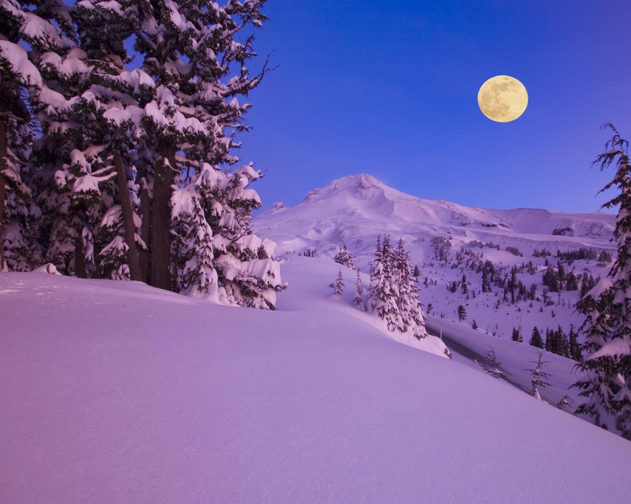 Snow widescreen wallpaper (2) #6 - 1280x1024