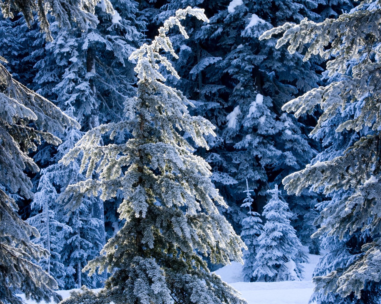 Fond d'écran panoramique de neige (2) #16 - 1280x1024