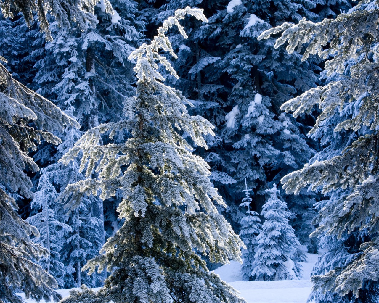 Sníh širokoúhlý tapety (2) #16 - 1280x1024