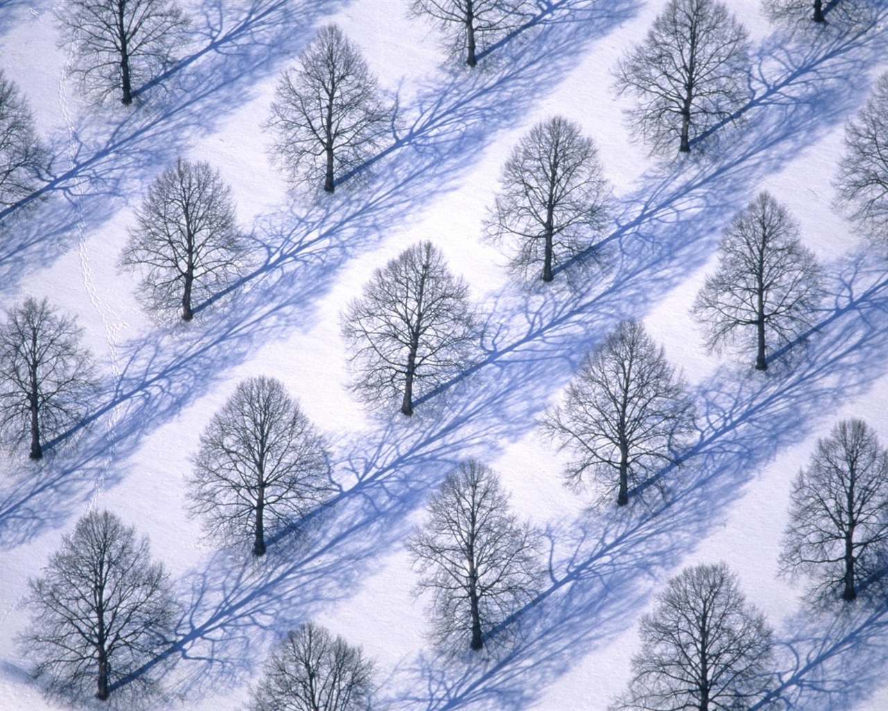 Sníh širokoúhlý tapety (2) #17 - 1280x1024