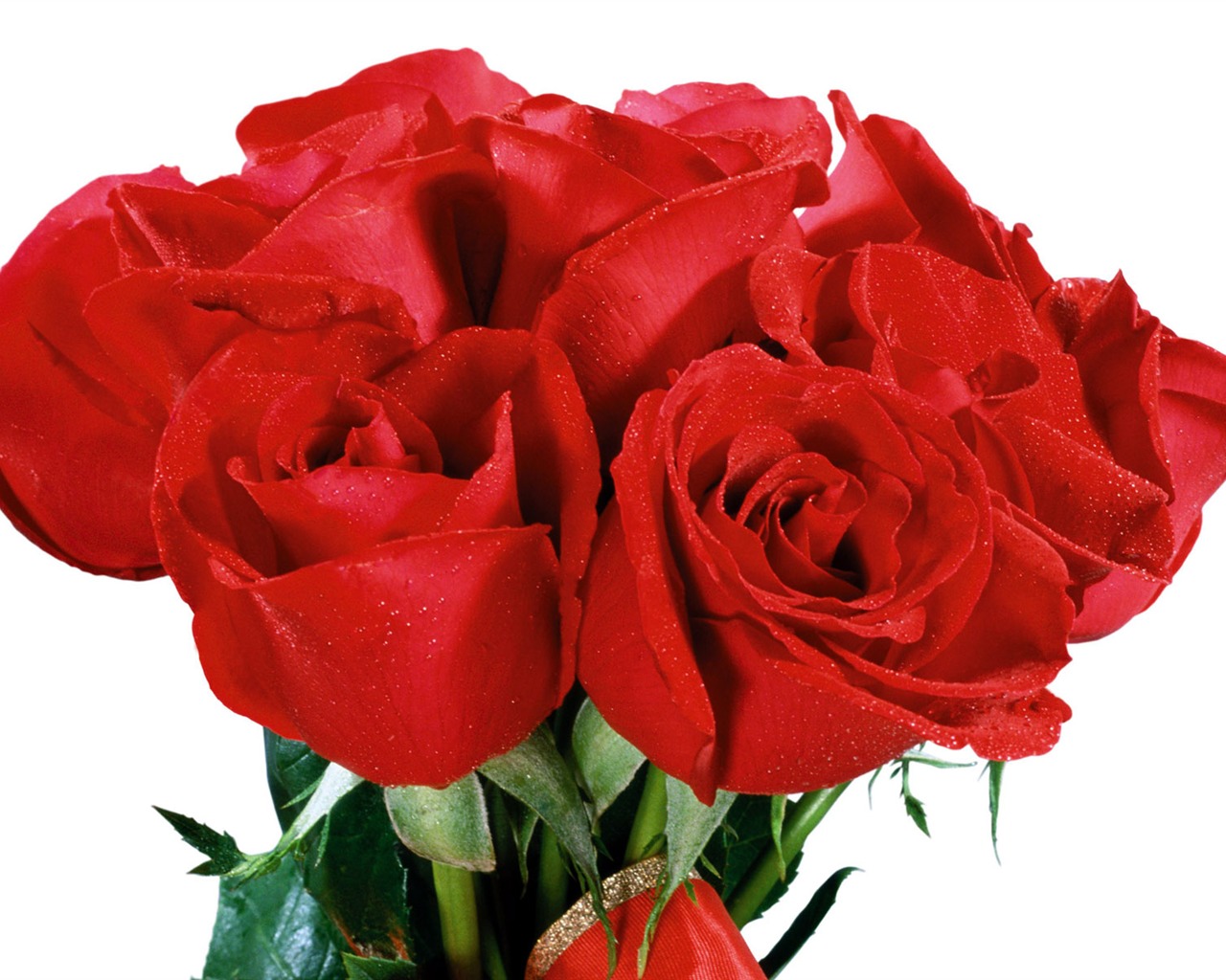 Rose Photo Wallpaper (3) #3 - 1280x1024