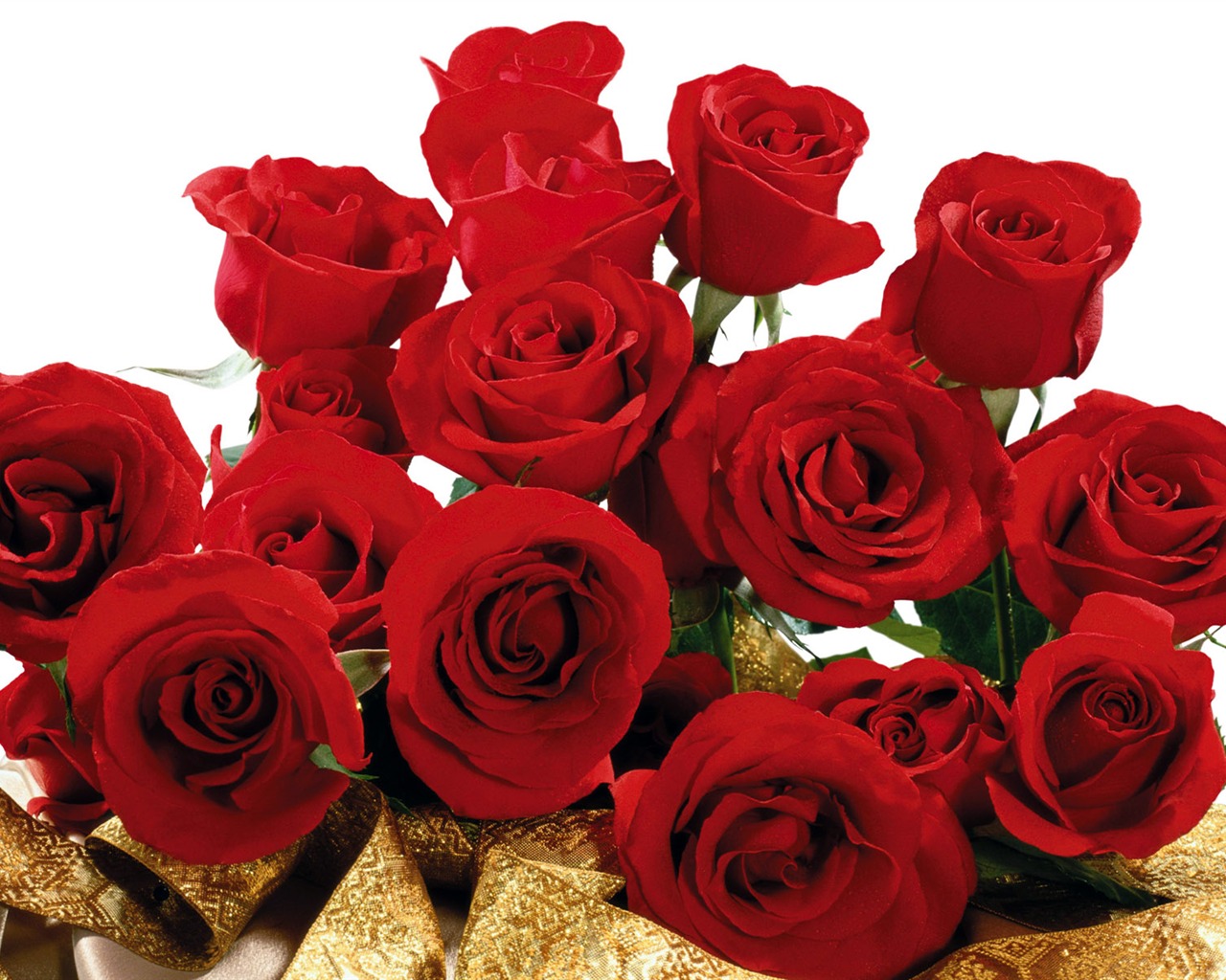 Rose Photo Wallpaper (3) #18 - 1280x1024