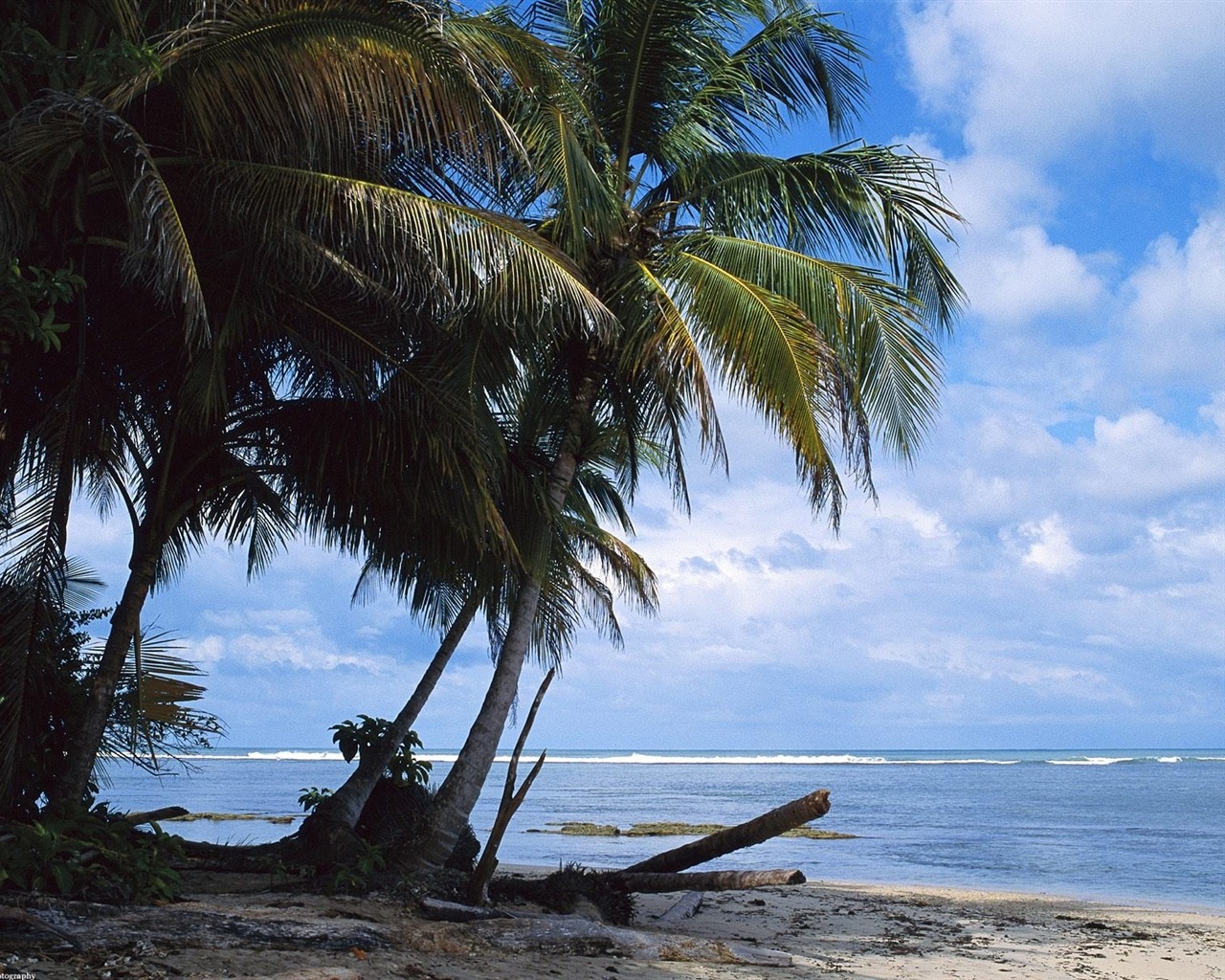 Beach scenery wallpapers (6) #20 - 1280x1024