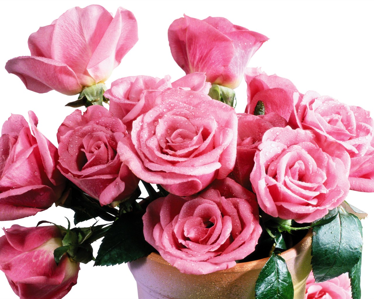 Rose Foto tapety (5) #12 - 1280x1024